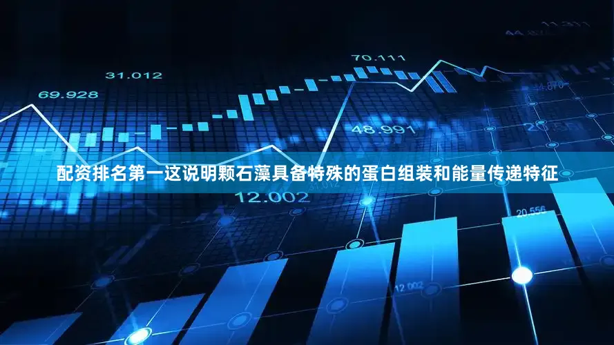 配资排名第一这说明颗石藻具备特殊的蛋白组装和能量传递特征